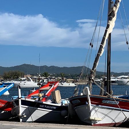 Les Toits De Sanary Et La Mer Eksteriør billede